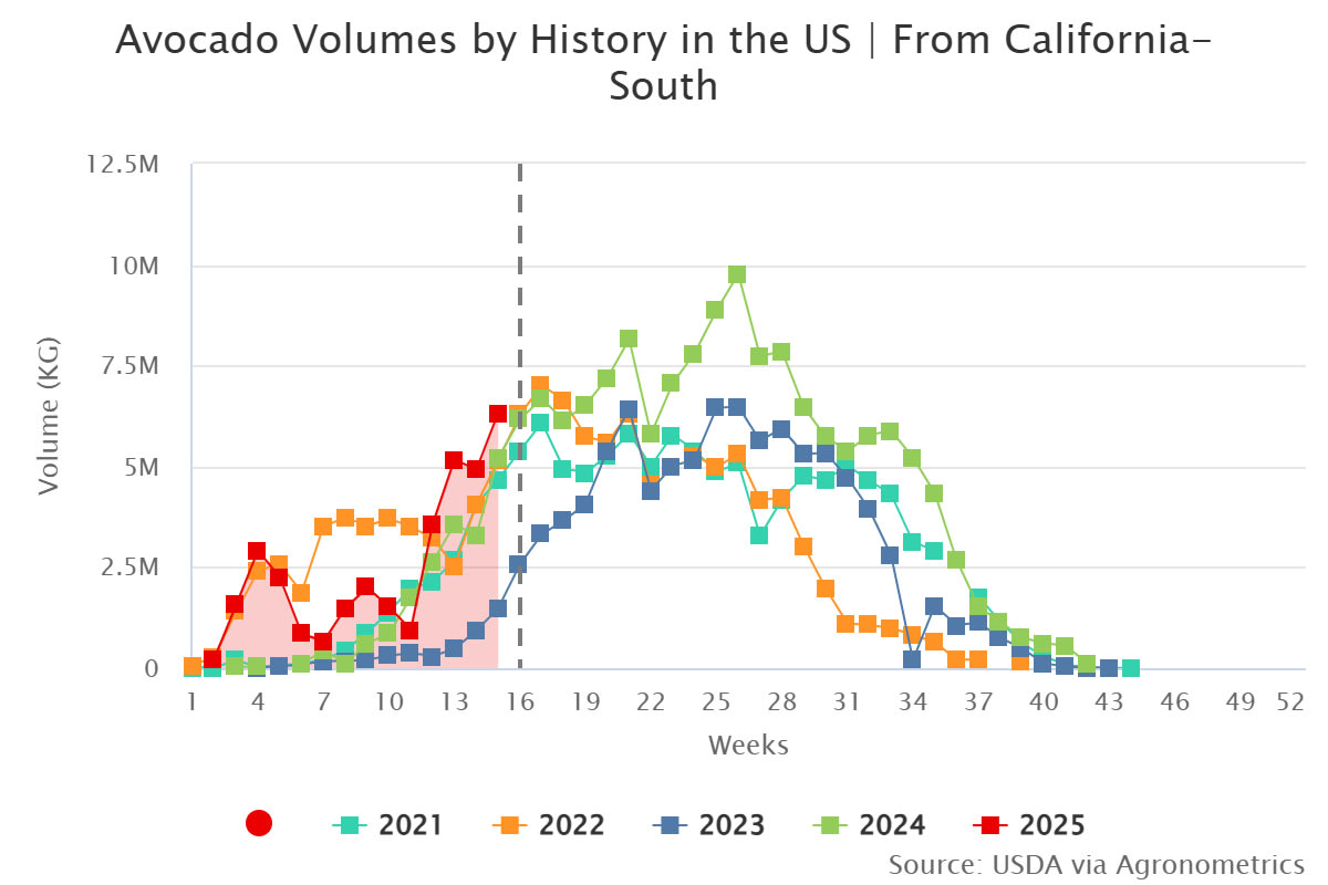 avocado volumes by histo